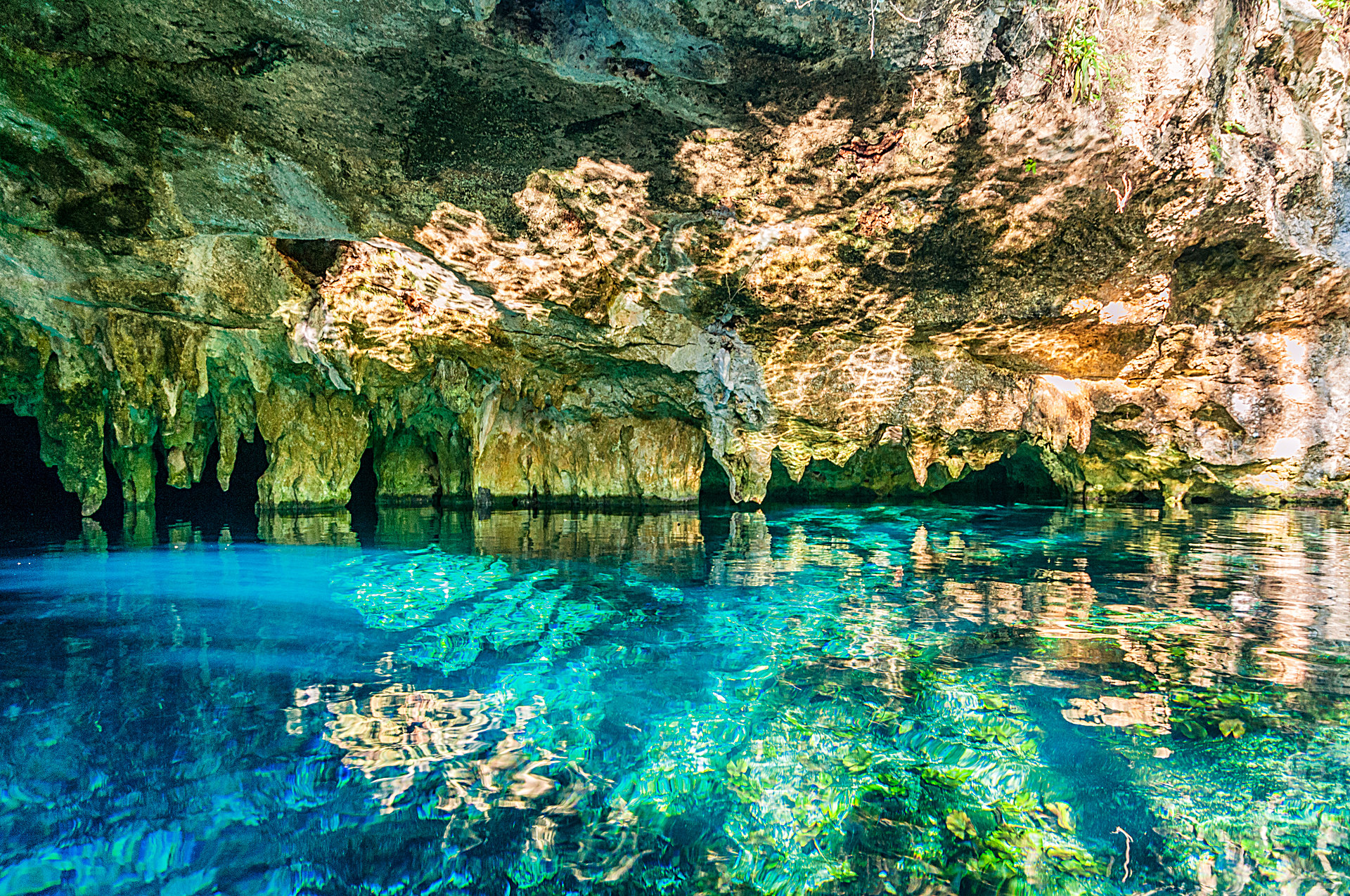 Tulum-Cenotes Regular Tour