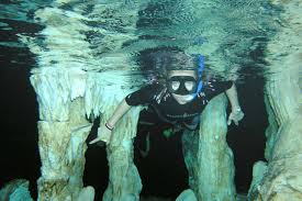 Tulum-Cenotes Private Tour